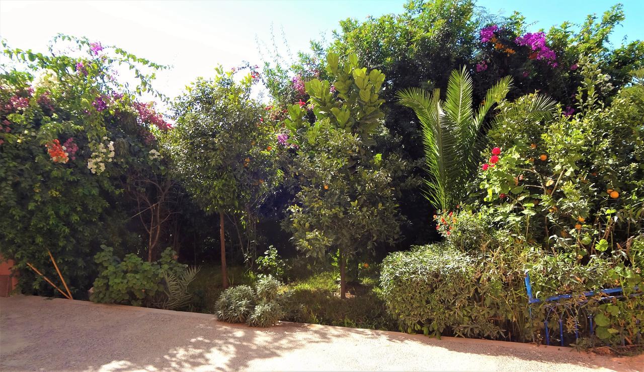 Surf & Yoga Paradise Morocco Hostel Tamraght Ou Fella Εξωτερικό φωτογραφία