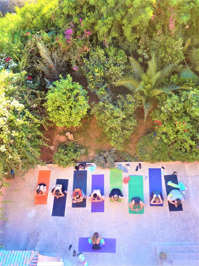 Surf & Yoga Paradise Morocco Hostel Tamraght Ou Fella Εξωτερικό φωτογραφία