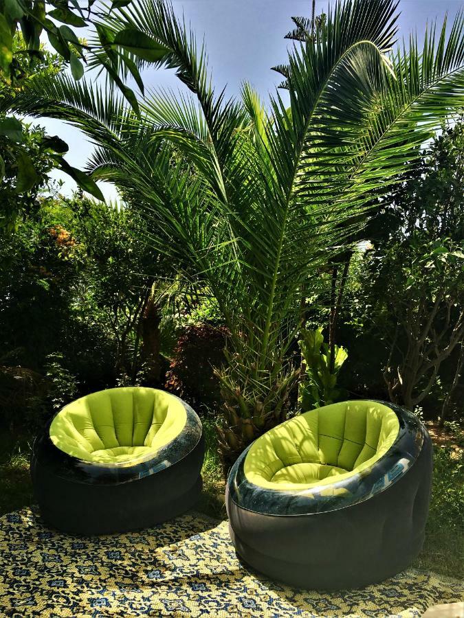 Surf & Yoga Paradise Morocco Hostel Tamraght Ou Fella Εξωτερικό φωτογραφία