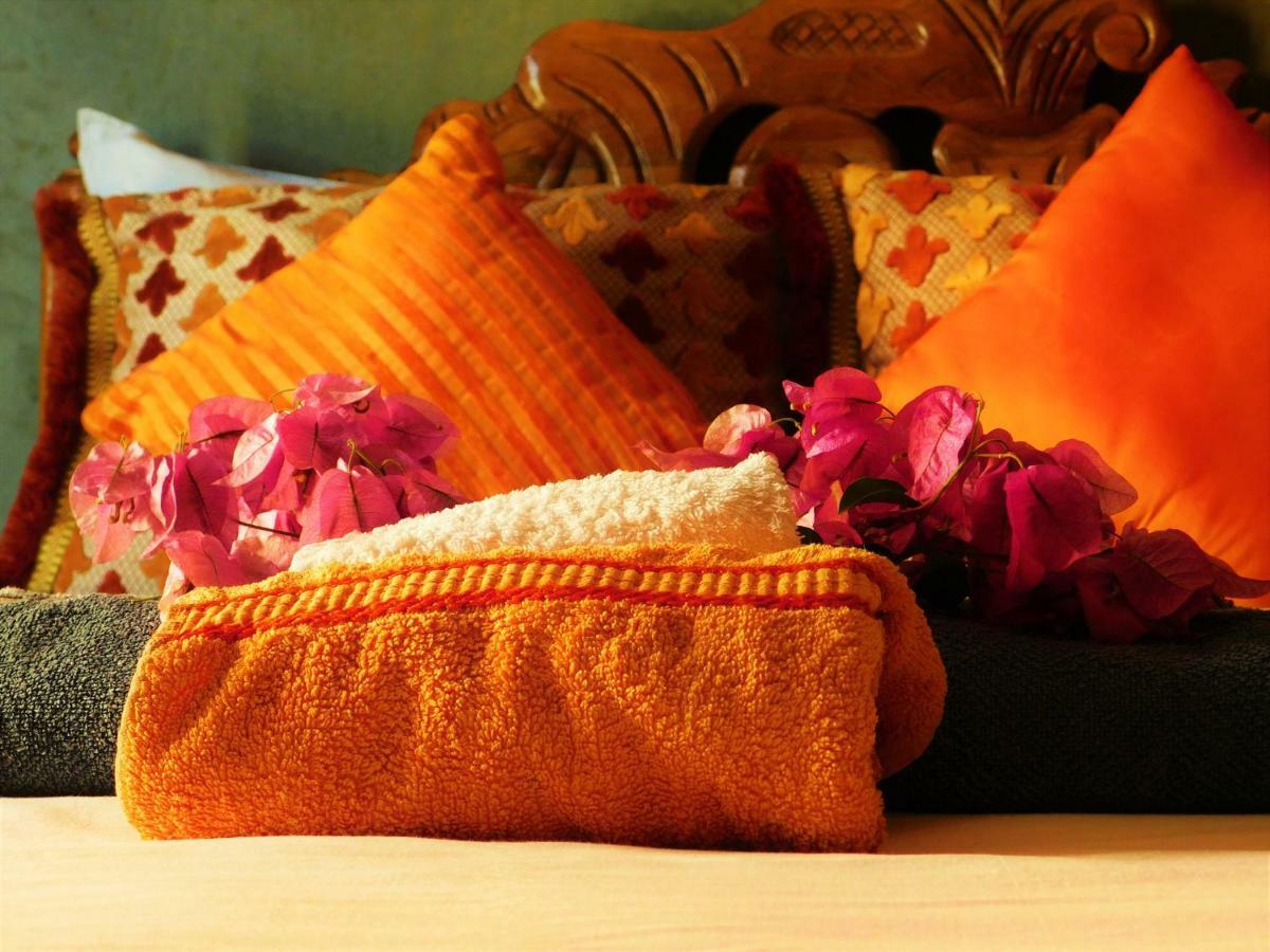 Surf & Yoga Paradise Morocco Hostel Tamraght Ou Fella Εξωτερικό φωτογραφία