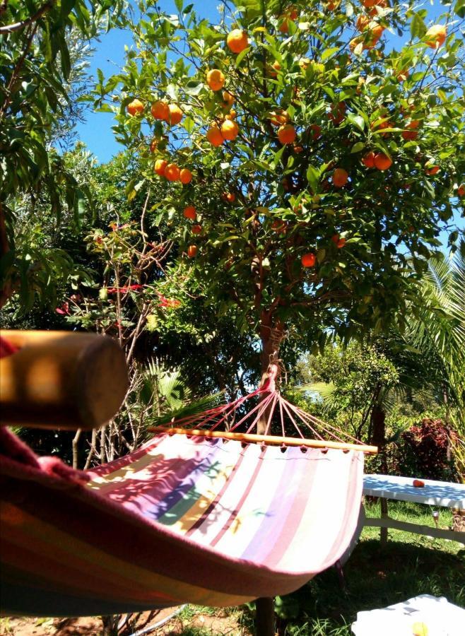Surf & Yoga Paradise Morocco Hostel Tamraght Ou Fella Εξωτερικό φωτογραφία