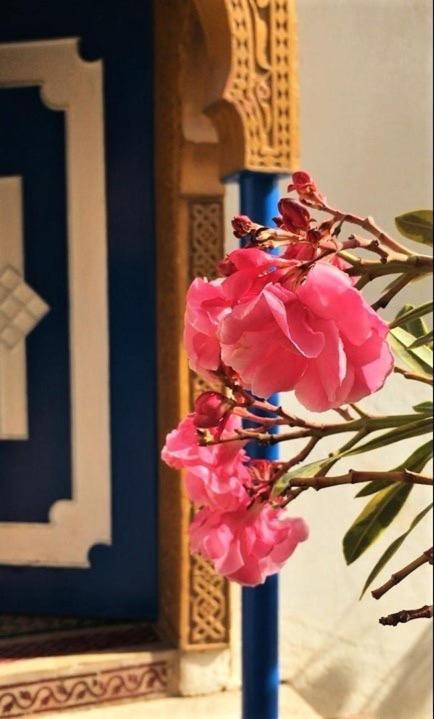 Surf & Yoga Paradise Morocco Hostel Tamraght Ou Fella Εξωτερικό φωτογραφία